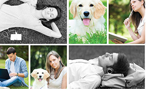 make a collage with mixed colours