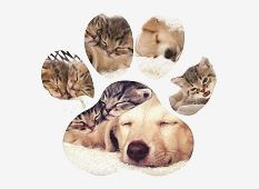 Silhouette Image Collage - Paw