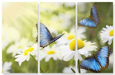 Baby Shower Gift Ideas