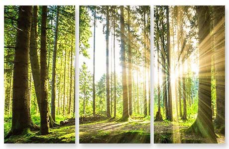 Going Away Gift Ideas - Canvas Art