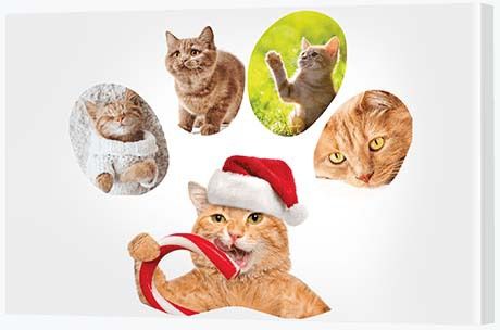 Christmas Present Ideas - Collage Paw Print