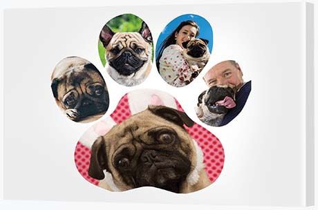 10th Wedding Anniversary Gift - Paw Collage