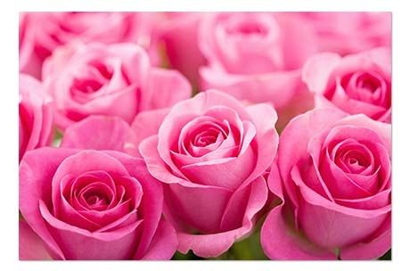 4th Wedding Anniversary Gifts