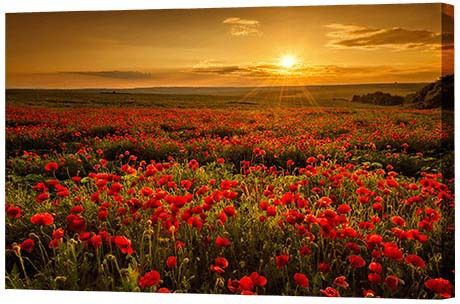 70th Birthday Gift Ideas