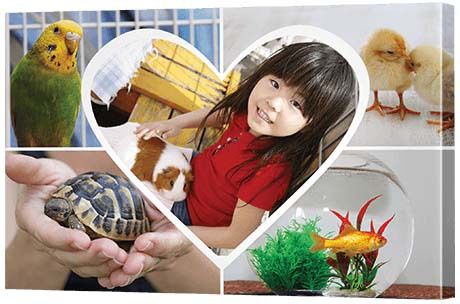 Photo Gifts - Heart Collage