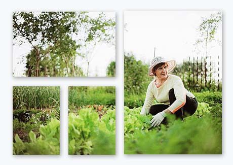 70th Birthday Gift Ideas - Split Image Canvas