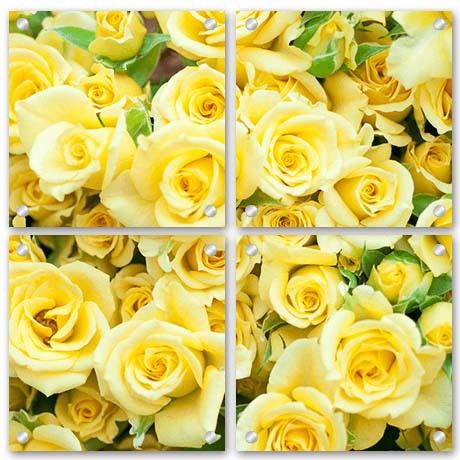 Christmas Present Ideas - Split Image