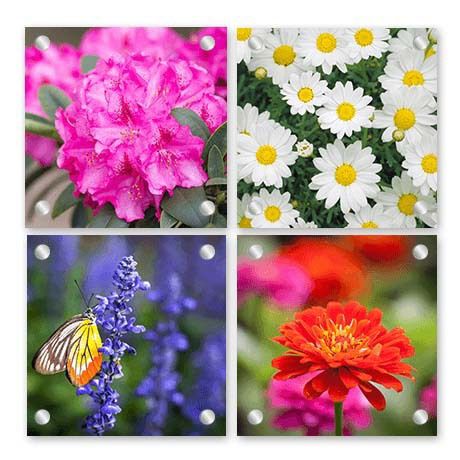 Glass Photo Prints - Wall Display