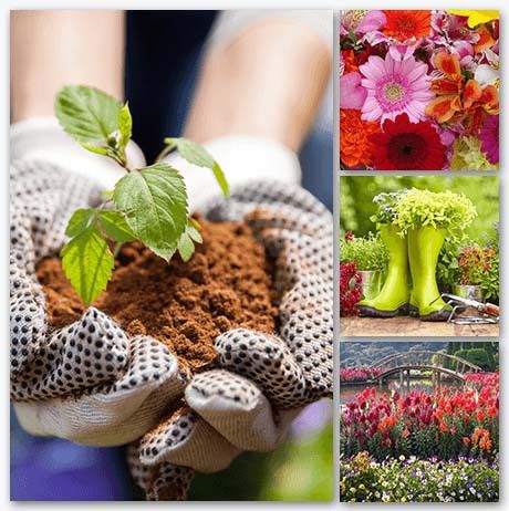 Christmas Present Ideas - Canvas Wall Display