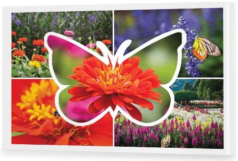 Birthday Present Ideas - Modish Butterfly Collage