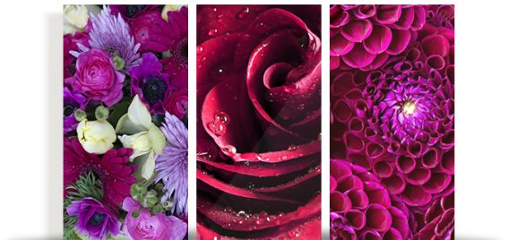 Glass Printing Wall Displays at Canvas Factory