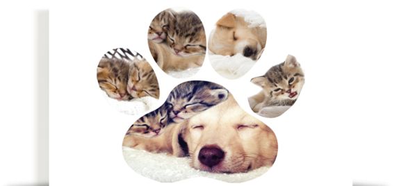 Photo Collages - Silhouette on Glass at Canvas Factory