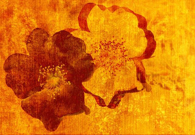 Thumbnail for original image