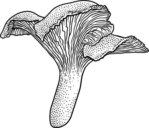 Thumbnail for original image