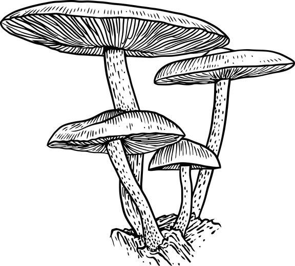 Thumbnail for original image