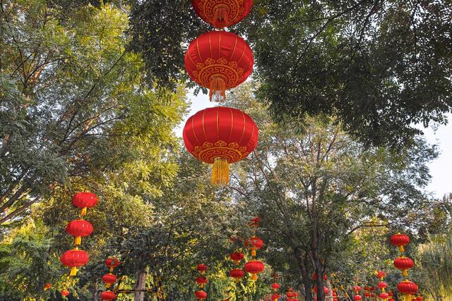 Thumbnail for original image