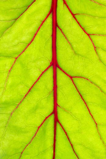 Thumbnail for original image