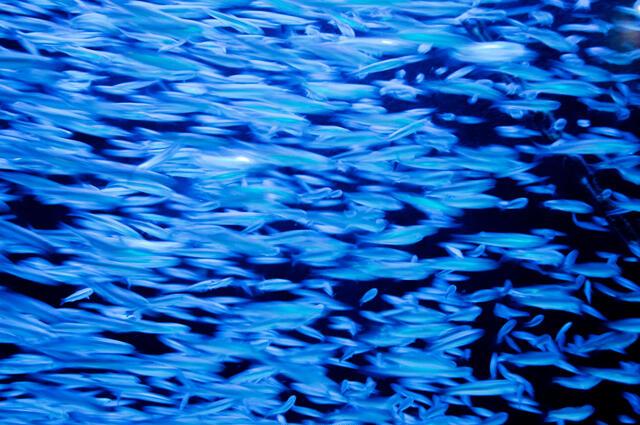 Thumbnail for original image