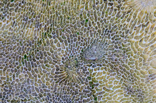 Thumbnail for original image