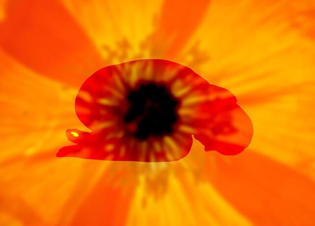 Thumbnail for original image