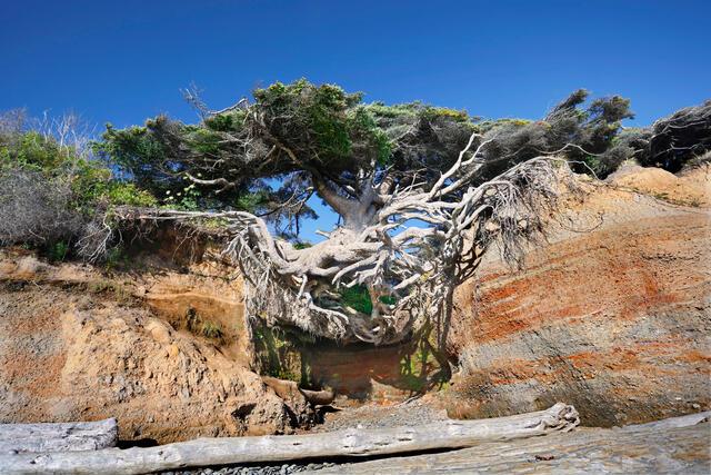 Thumbnail for original image