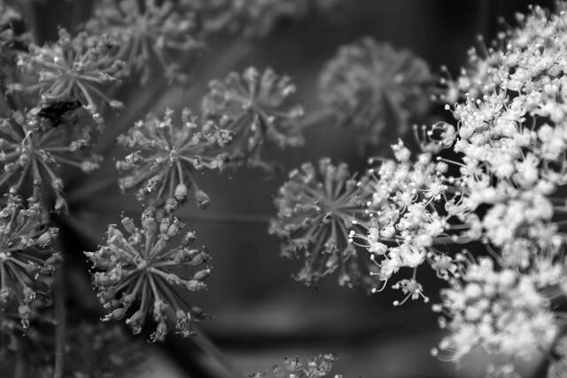 Thumbnail for original image