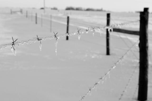 Thumbnail for original image