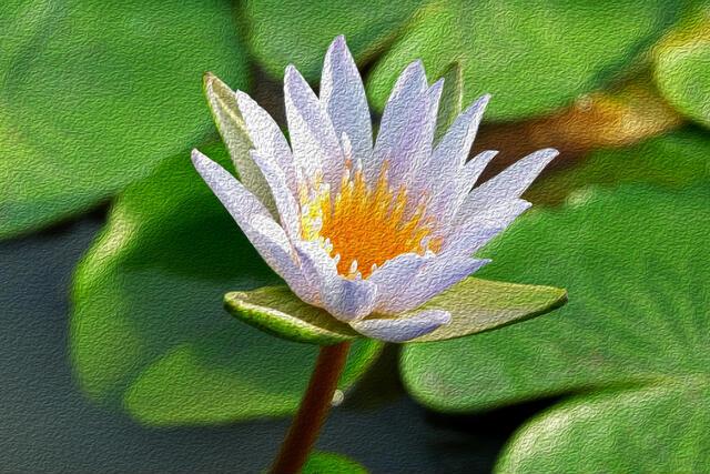 Thumbnail for original image