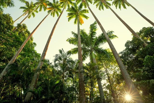 Thumbnail for original image