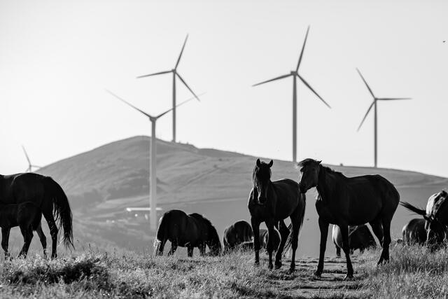 Thumbnail for original image