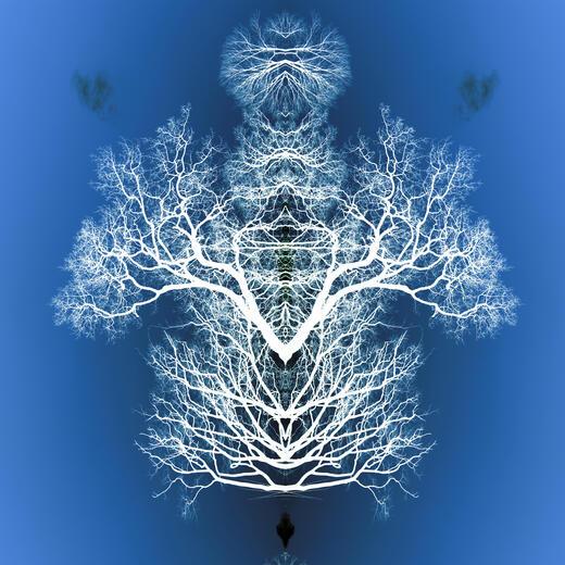 Thumbnail for original image