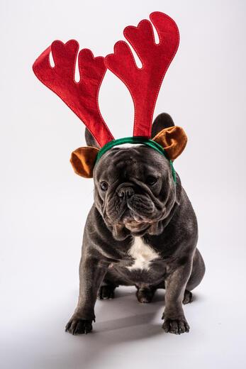 Thumbnail for original image