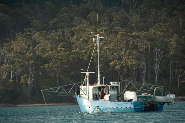 Thumbnail for original image