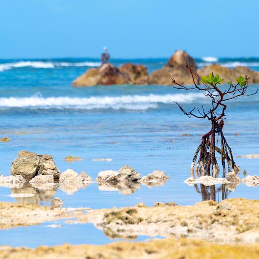 Thumbnail for original image