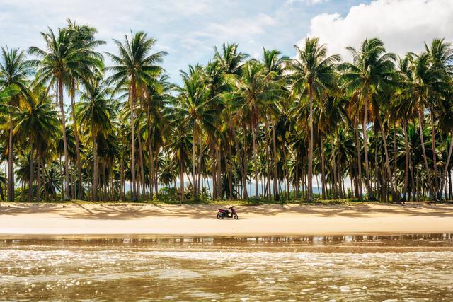 Thumbnail for original image