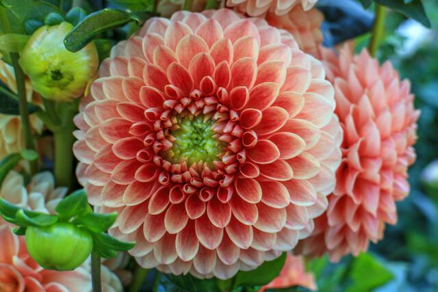 Thumbnail for original image