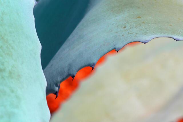 Thumbnail for original image