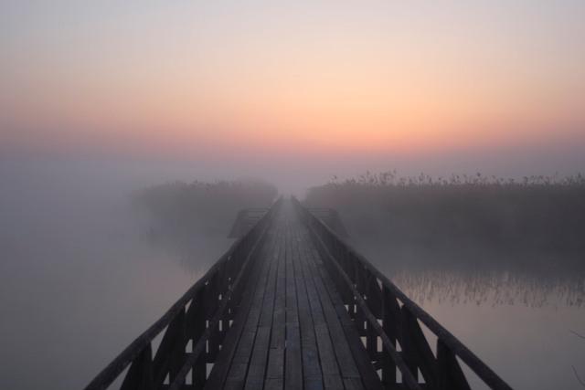 Thumbnail for original image