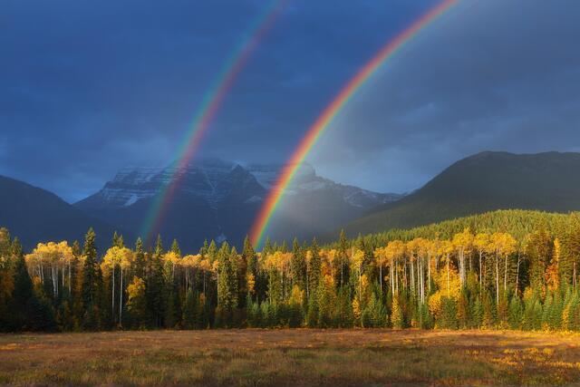 Thumbnail for original image