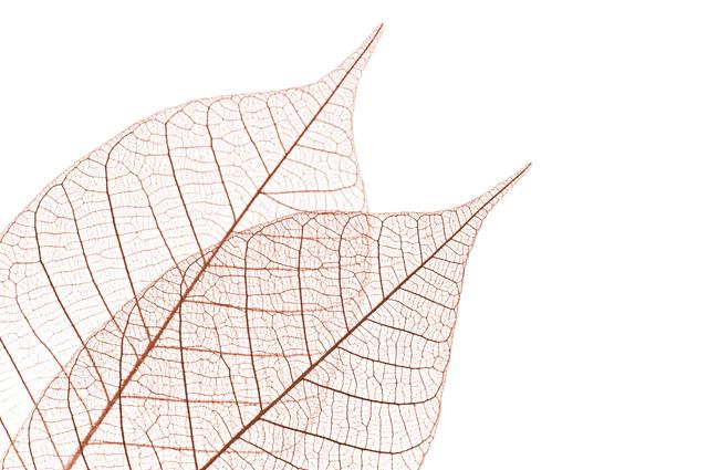 Thumbnail for original image