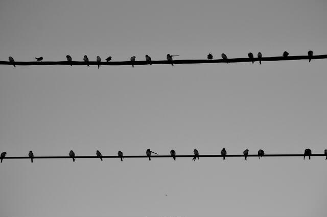 Thumbnail for original image