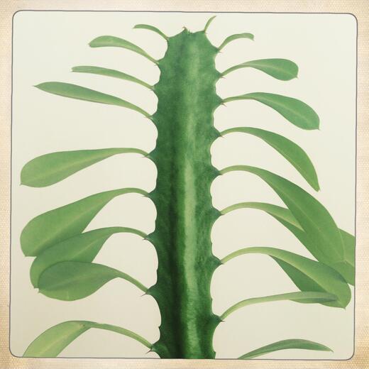 Thumbnail for original image