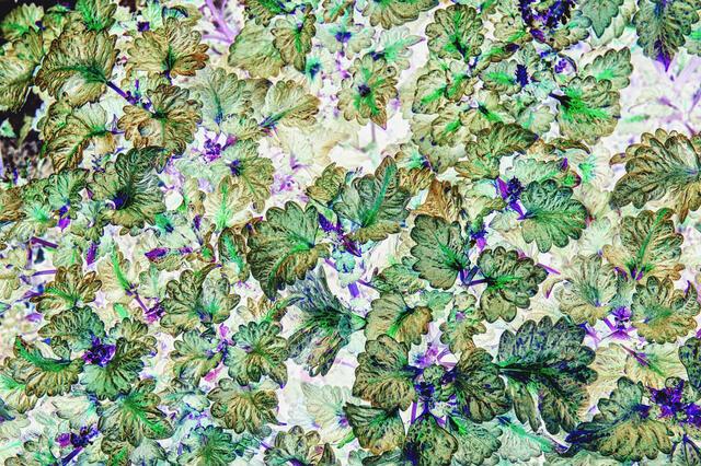 Thumbnail for original image