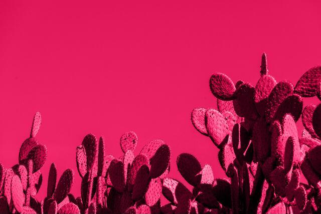 Thumbnail for original image