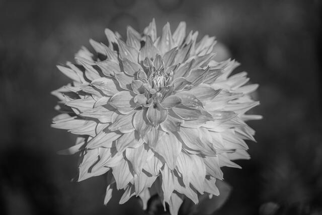 Thumbnail for original image