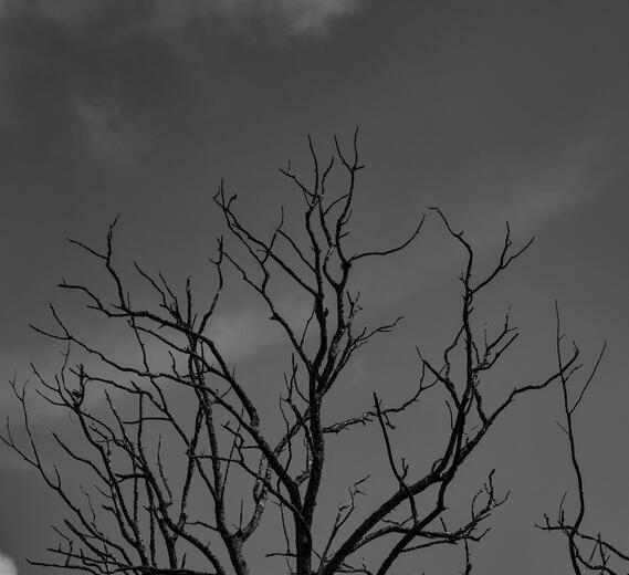 Thumbnail for original image