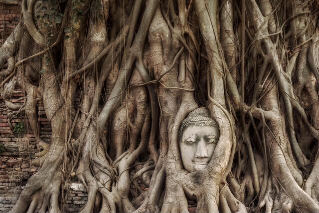 Thumbnail for original image