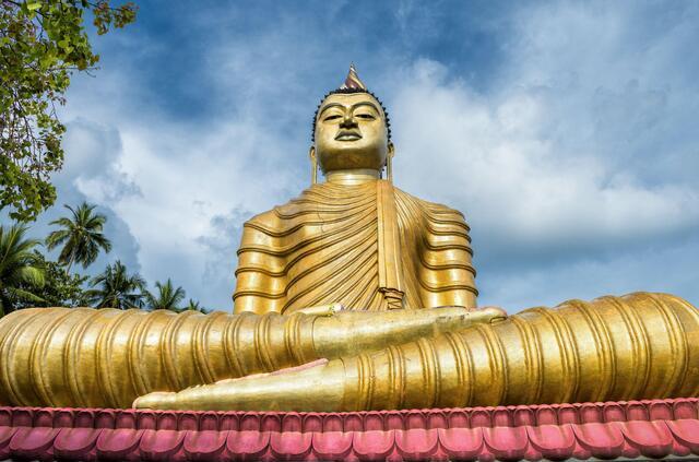 Thumbnail for original image