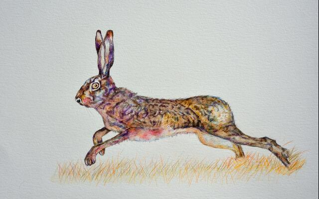 Thumbnail for original image