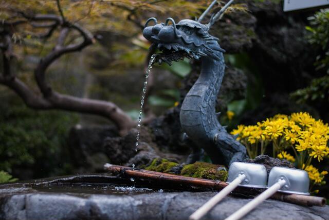 Thumbnail for original image